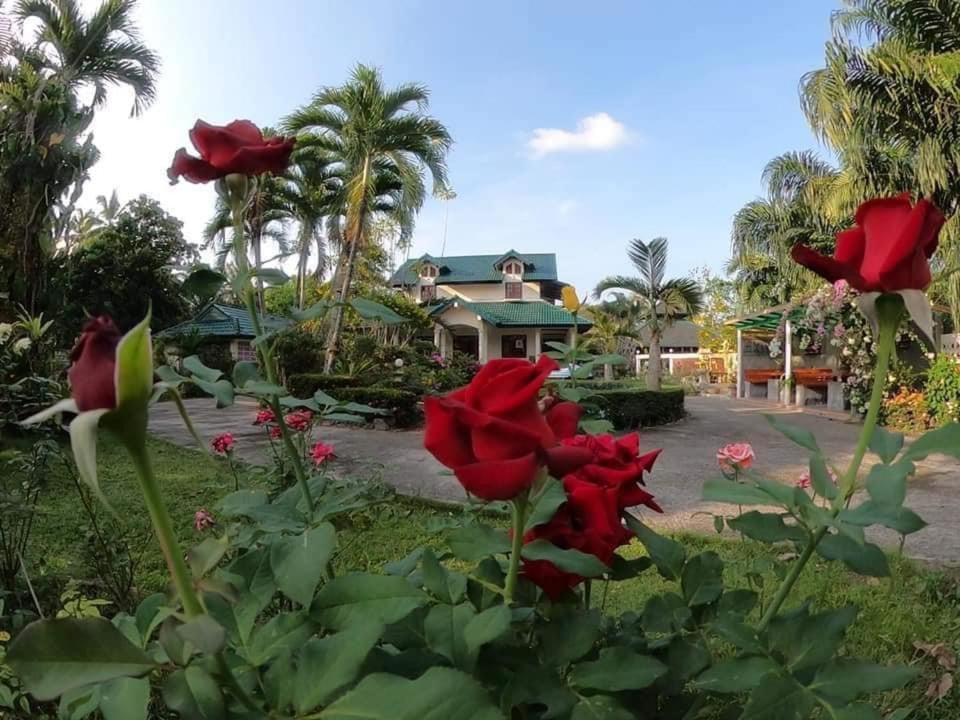 Ekman Garden Resort Szicson Kültér fotó